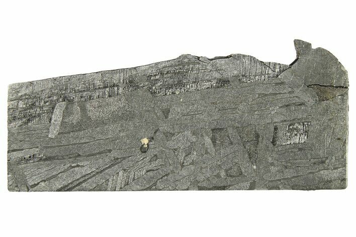 Aletai Iron Meteorite Slice ( g) - Xinjiang, China #272621